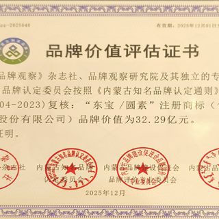 BB贝博艾弗森/圆素品牌价值评估证书